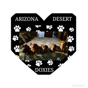 Meet your Posher, Rosey